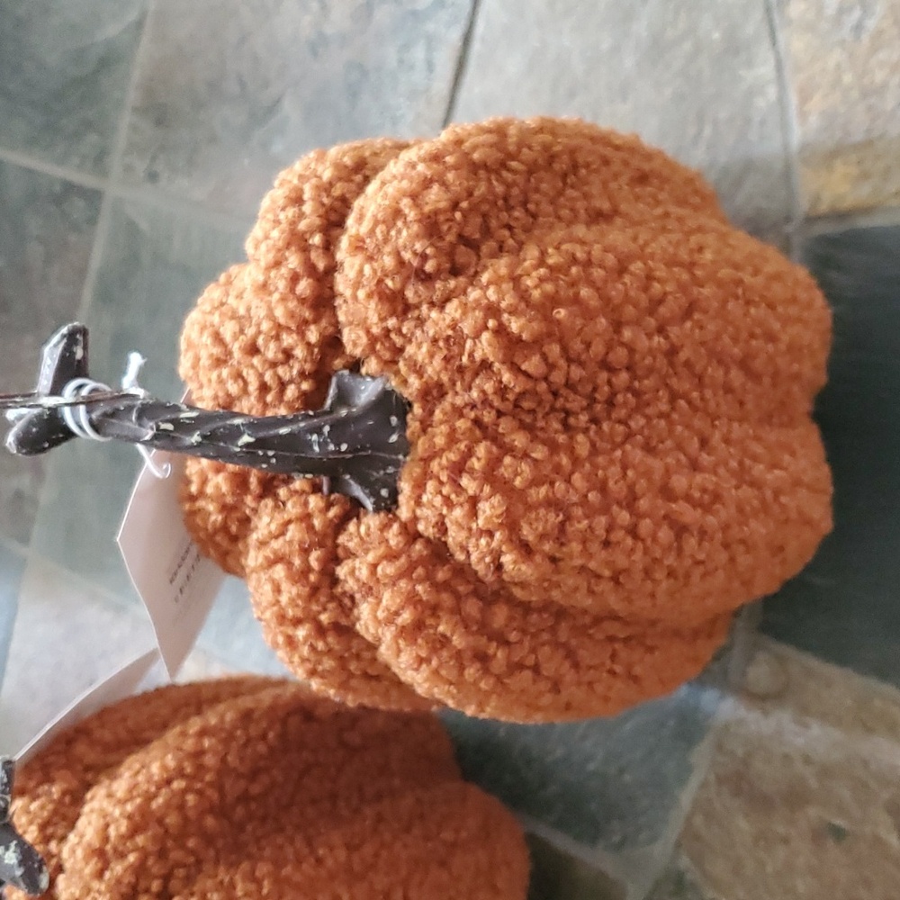 pumpkins - Picture 2 of 4